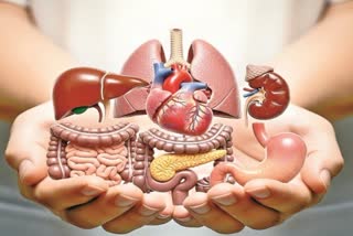 World Organ Donation Day 2026