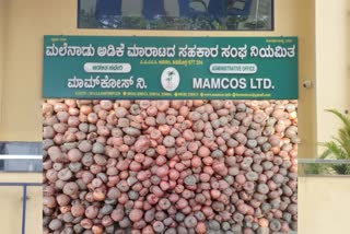 ARECANUT GROWER PROTEST  SHIVAMOGGA  KARNATAKA GOVT ORDER  ಗುಟ್ಕಾ ಪಾನ್ ಮಸಾಲ ನಿಷೇಧ