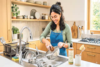 Natural Dish wash bar