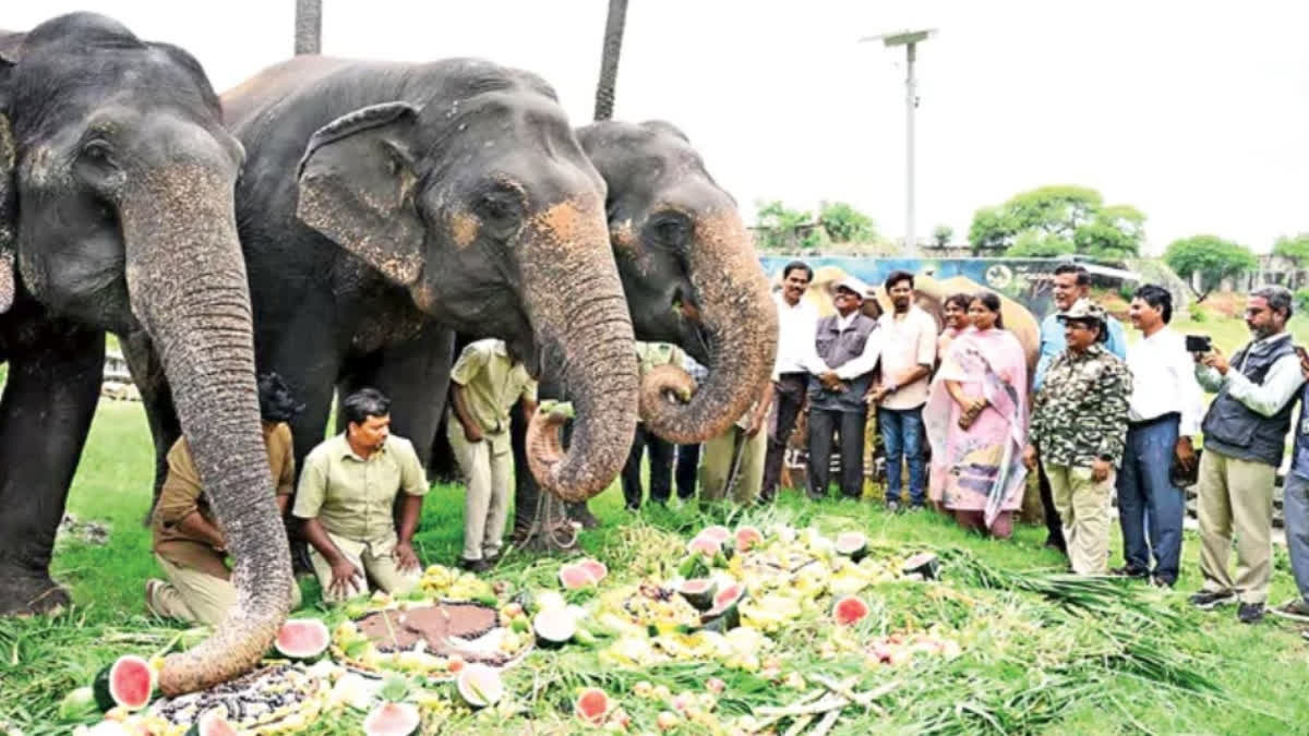 Hyderabad’s Nehru Zoological Park