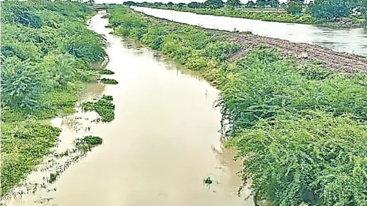A 'Good-Hearted' Industrialist's Private Initiative Ends Flood Misery Of Farmers, Saves 10,000 Acres of Farmland