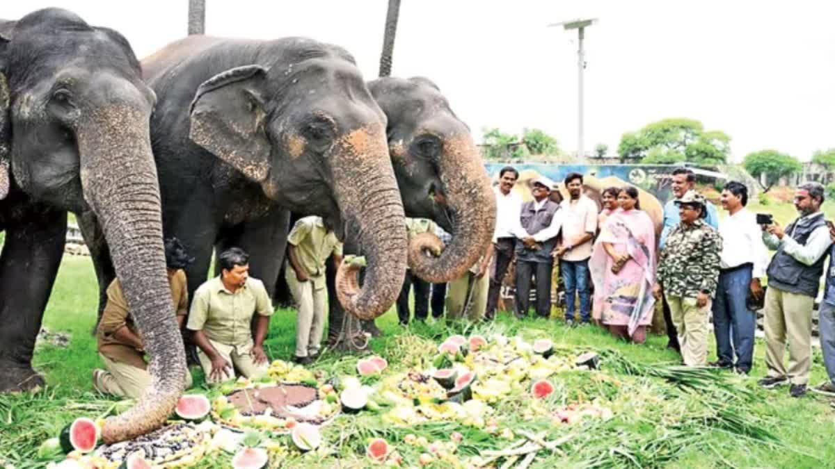 Hyderabad Zoo nehru zoological park