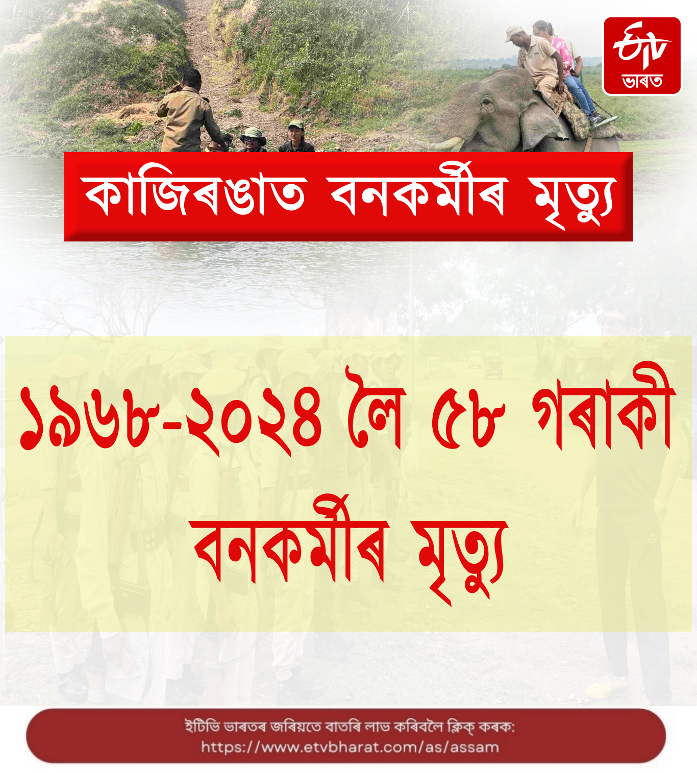 58 forest workers have died while on duty from 1968 to 2024 in Kaziranga National Park