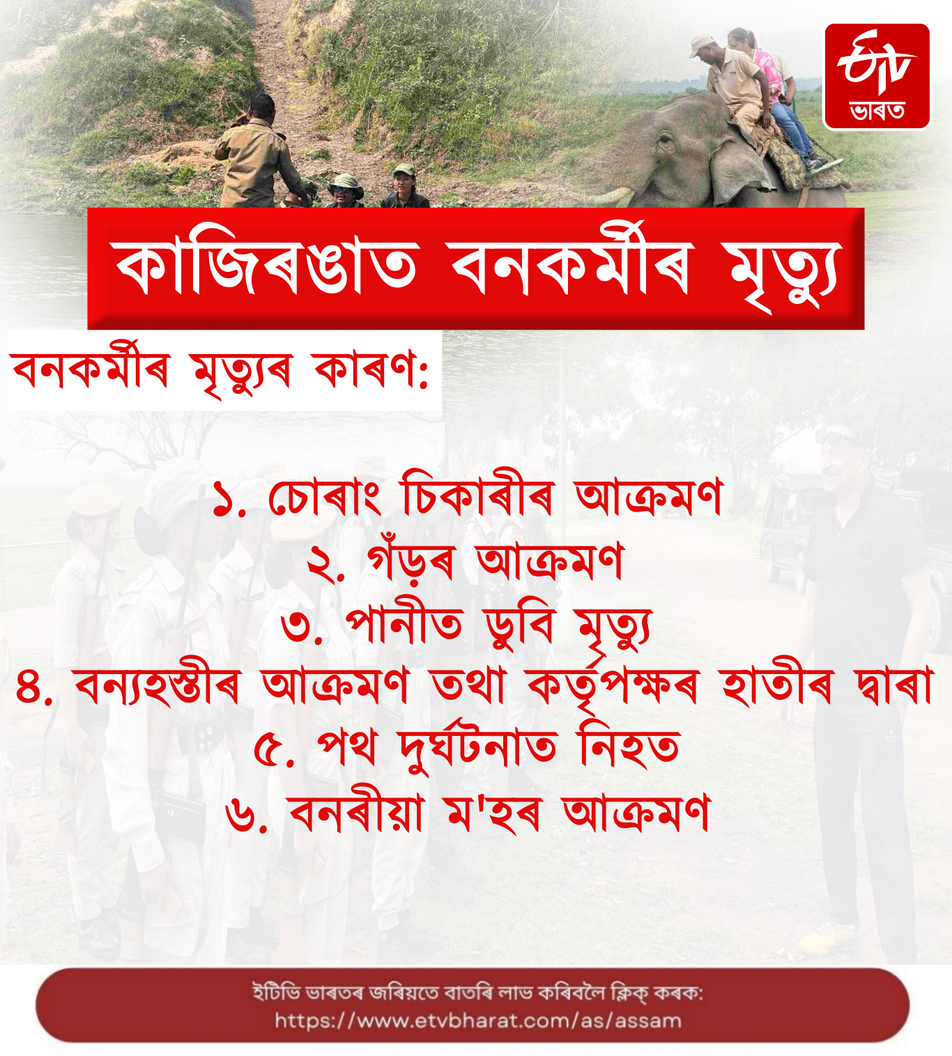 58 forest workers have died while on duty from 1968 to 2024 in Kaziranga National Park