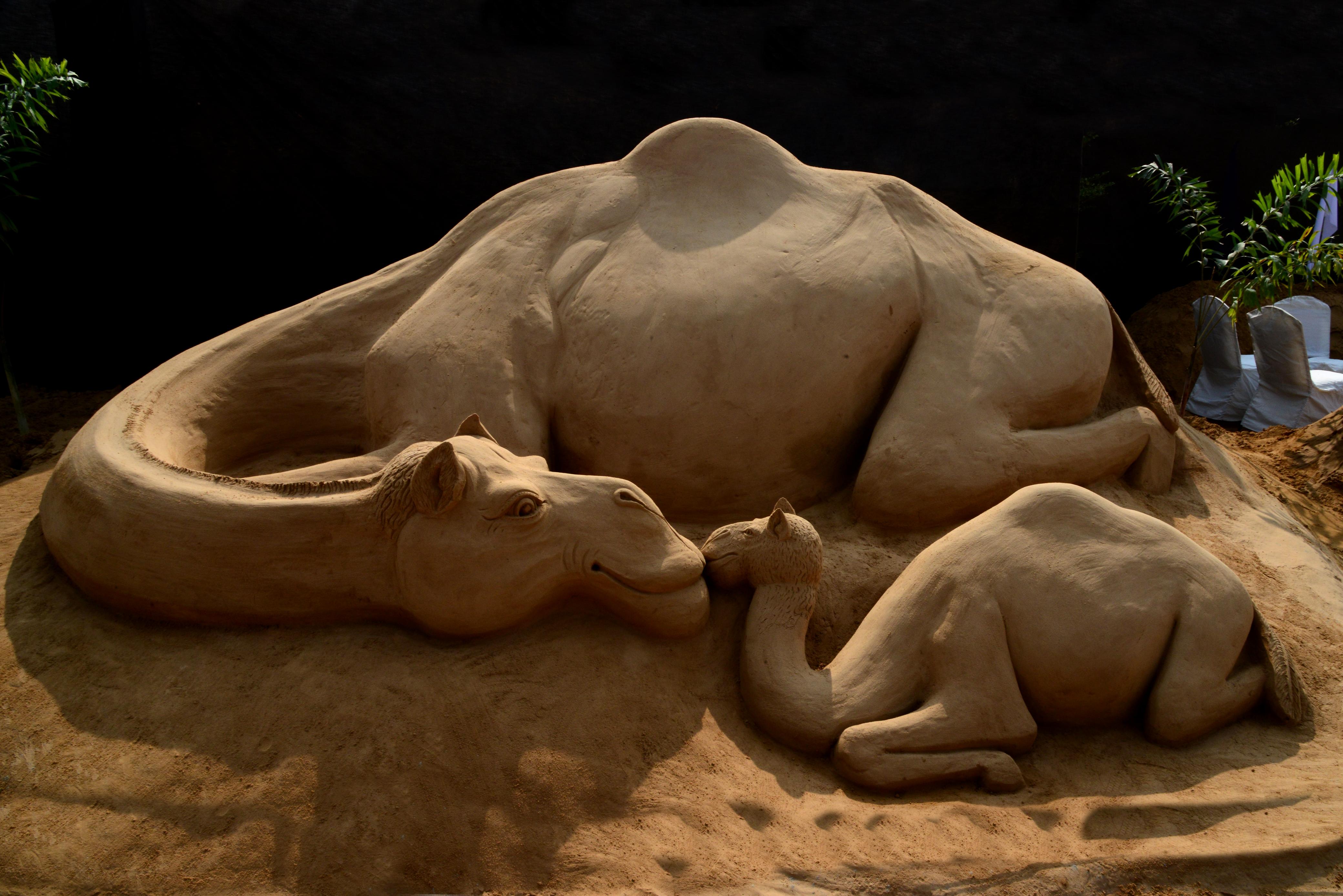 Transforming Sand Into Art: The Story Of Pushkar's Ajay Singh Rawat