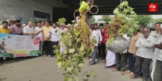 Unique Dahi Handi