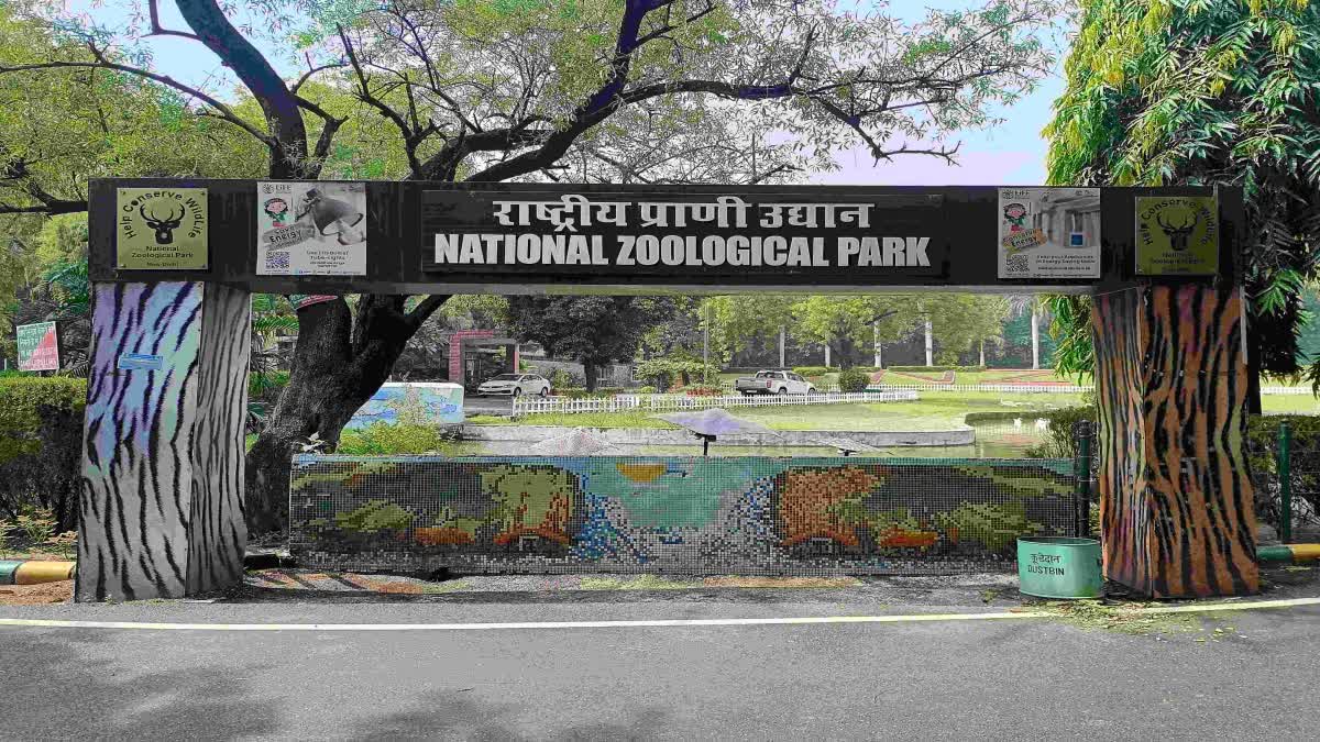 DELHI  NATIONAL ZOOLOGIAL PARK DELHI  NATIONAL ZOOLOGICAL PARK  SAFETY PRECAUTIONS