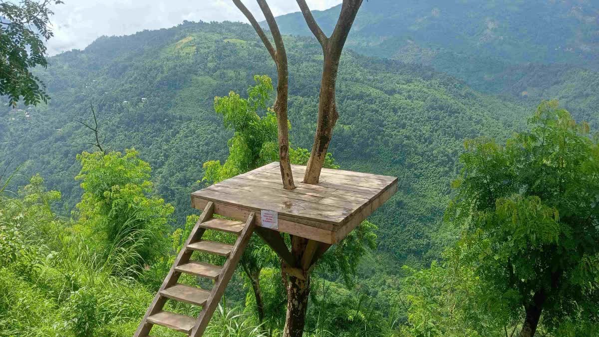 Jatinga bird death mystery