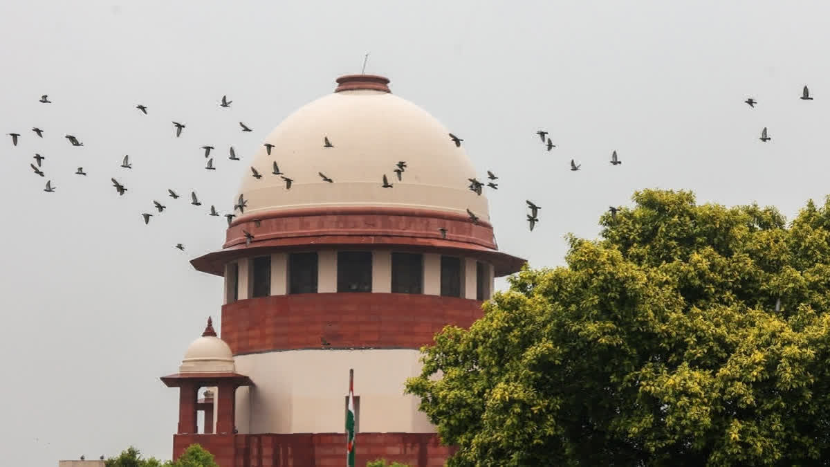 SC Refuses Singer's Plea To Quash FIR Against Over Her Social Media Posts