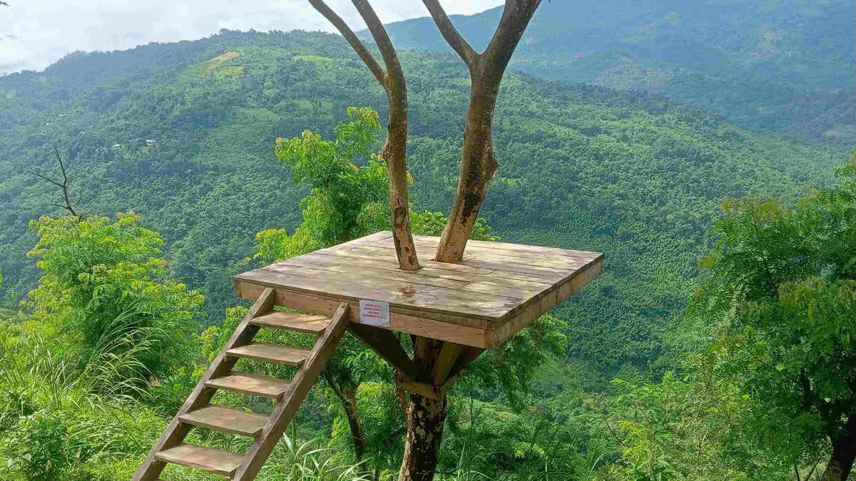 Assam’s Jatinga Sheds 'Birds’ Suicide Site' Tag But Faces Other Challenges Jatinga site in Assam's Haflong
