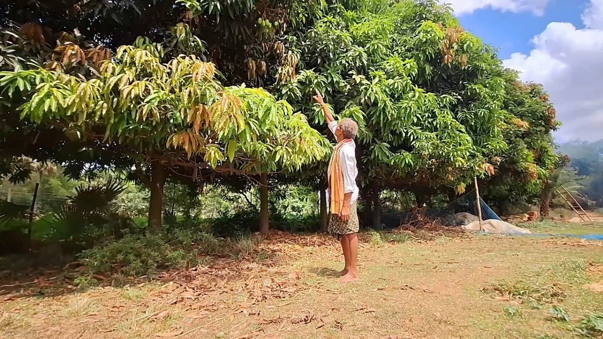 ETV Bharat Impact: Odisha's 'Tree Man' Gets New Home After 40 Years Of Green Mission, Thanks To Hyderabad-Based Trust