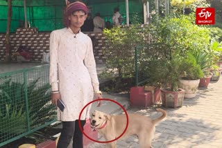 पुलिस ने कुत्ते को थाने में रखा है.