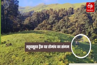 UTTARAKHAND TOURISM