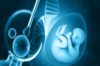 DISADVANTAGES OF FASTING DURING IVF