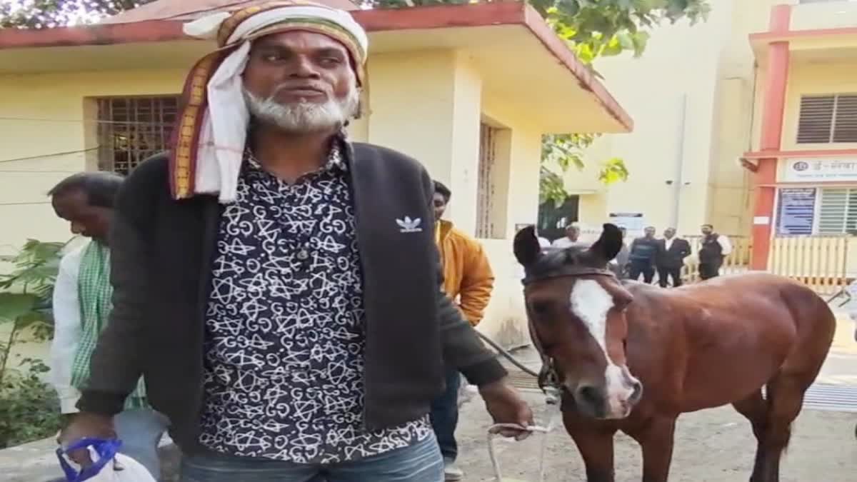 Burhanpur horseman