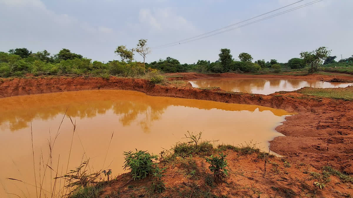 The Covid-19 pandemic claimed thousands of lives across the globe. Among those are the Muslim women of Kattu Bava Pallivasal, located on Tirupattur highway in Thirumayam taluk of Pudukkottai district, who lost their husbands to the pandemic