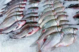 Fisheries Export Center in Telangana