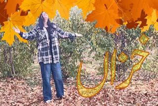 موسم خزں میں چنار کے رنگ برنگے پتوں سے سیاح محظوظ