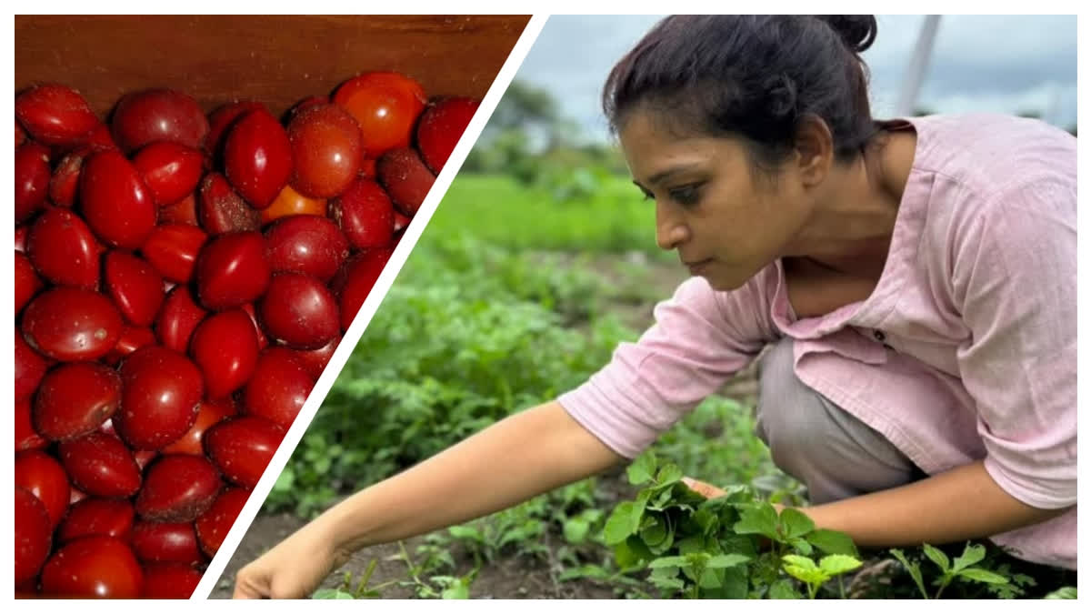 Preserving Past For Future: How Shweta Bhatkar Built A 300-Seed Bank In Madhya Pradesh’s Pandhurna