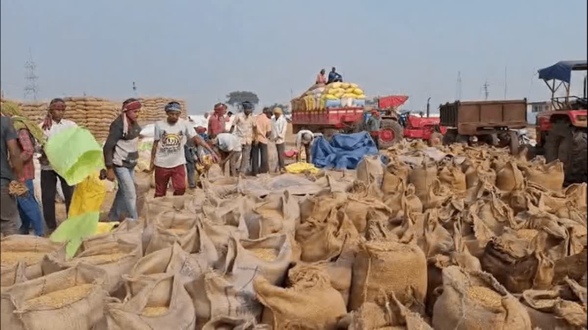 किसानों के लिए बड़ी सहूलियत, छत्तीसगढ़ सरकार ने लिया ये अहम फैसला