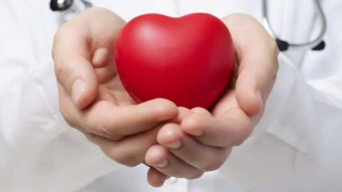WHAT IS DIGITAL STRESS WHAT CAUSES DIGITAL STRESS DIGITAL STRESS AND HEART HEALTH