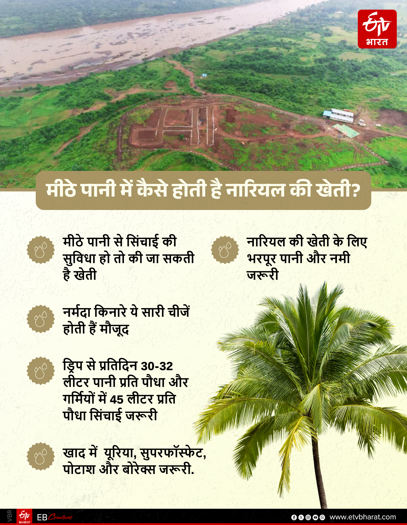 Narmada Bay Coconut Farming