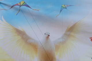 INDORE CHINESE MANJHA  INJURED BIRD TREATMENT