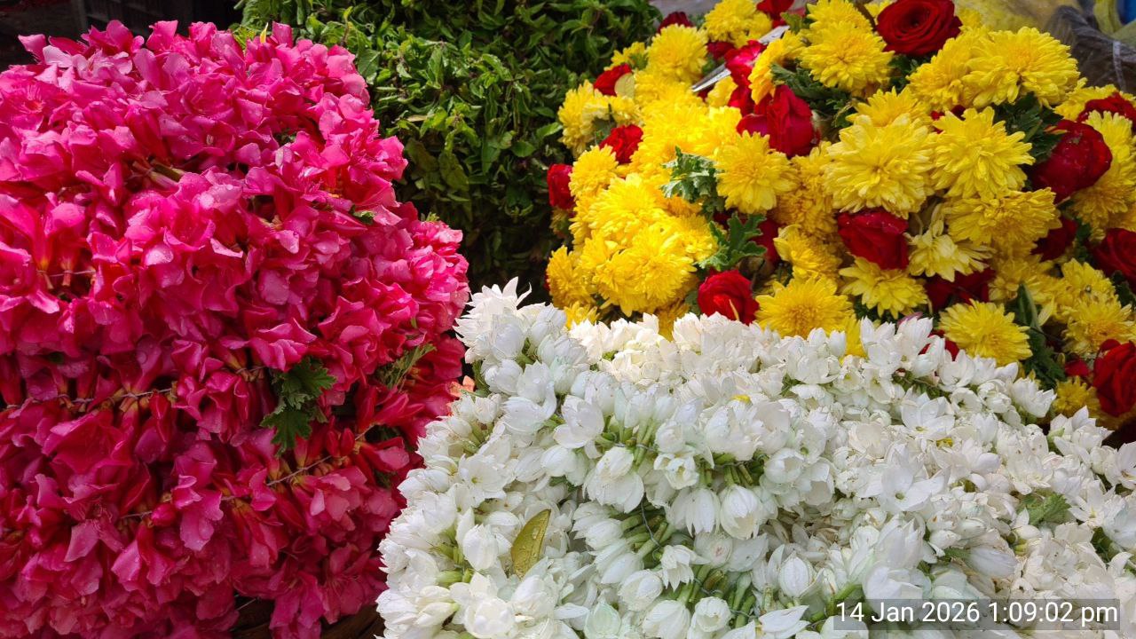 Kanakambara is selling at Rs 700 to Rs 800 per kg, roses at around Rs 80, and chrysanthemum at Rs 70.