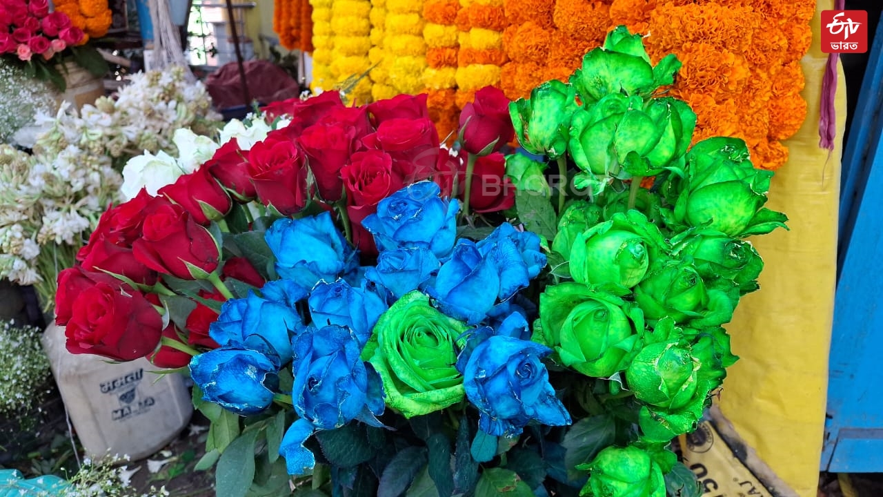 Multicoloured Rose Selling on Valentines Day in Hooghly