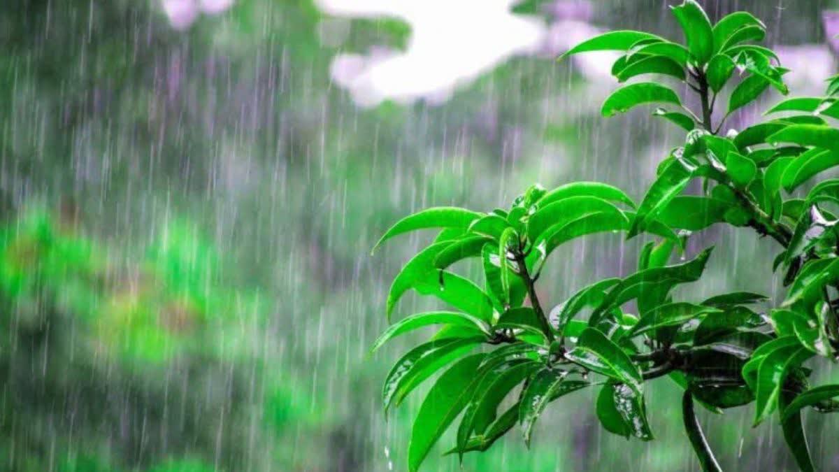 HARYANA WEATHER UPDATE