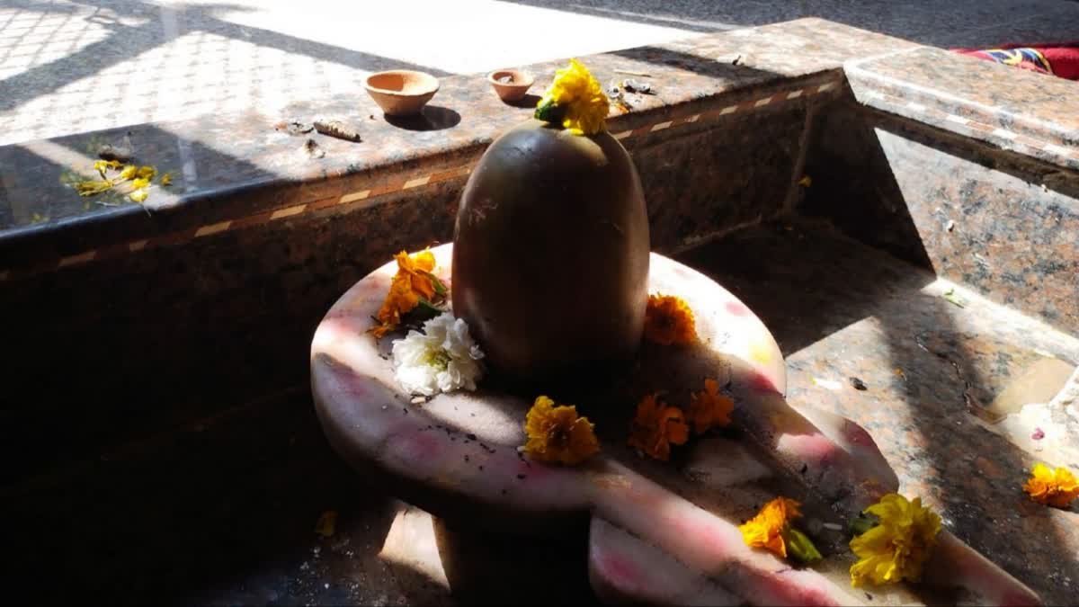 Shivling Puja in Telugu