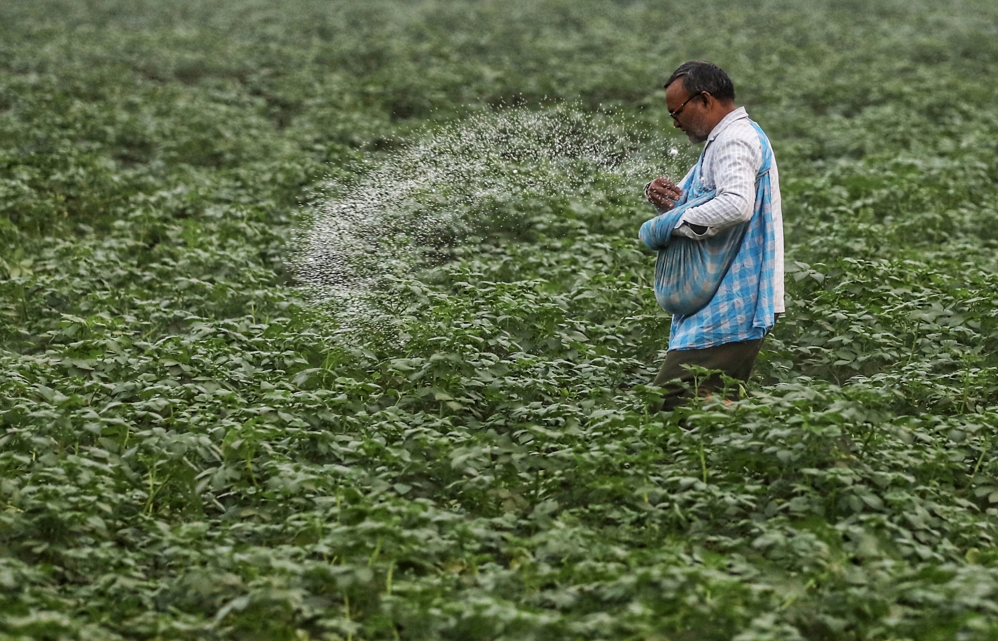 Explained What Ails Farmer Producer Organisations In India