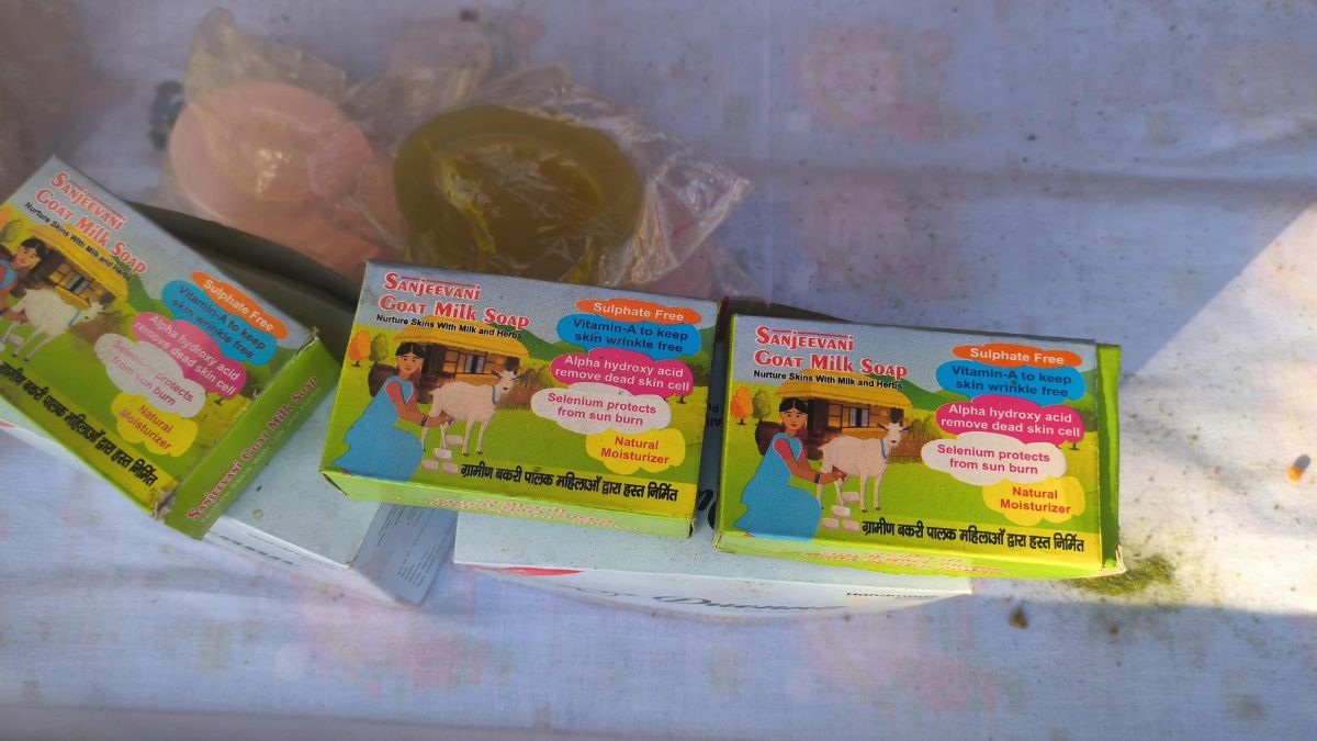 Faridabad Surajkund Crafts Mela