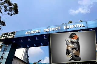 Minor Girl Rape Case