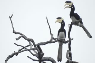 UDANTI SITANADI TIGER RESERVE