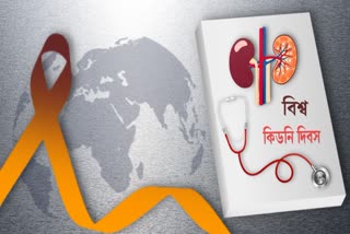 World Kidney Day 2024 News