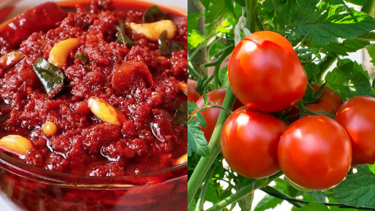 How to Make Tomato Nilva Pachadi