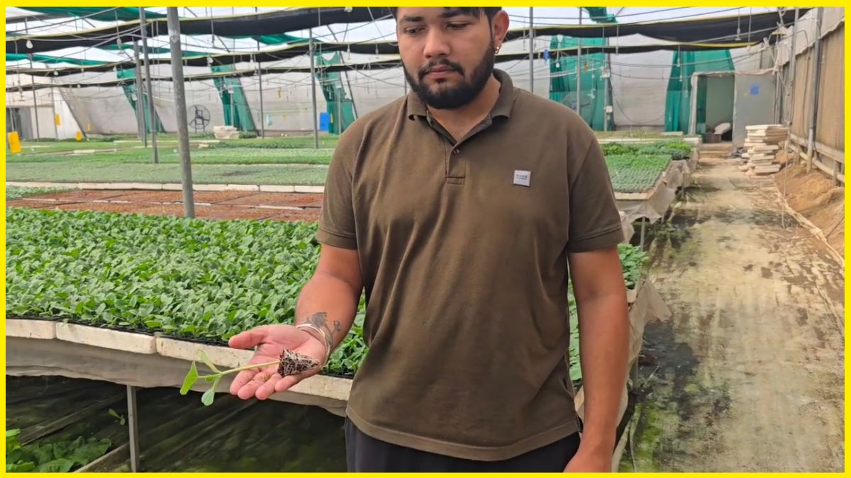 Kurukshetra Farmer Turns Farming Into Money Spinning Enterprise