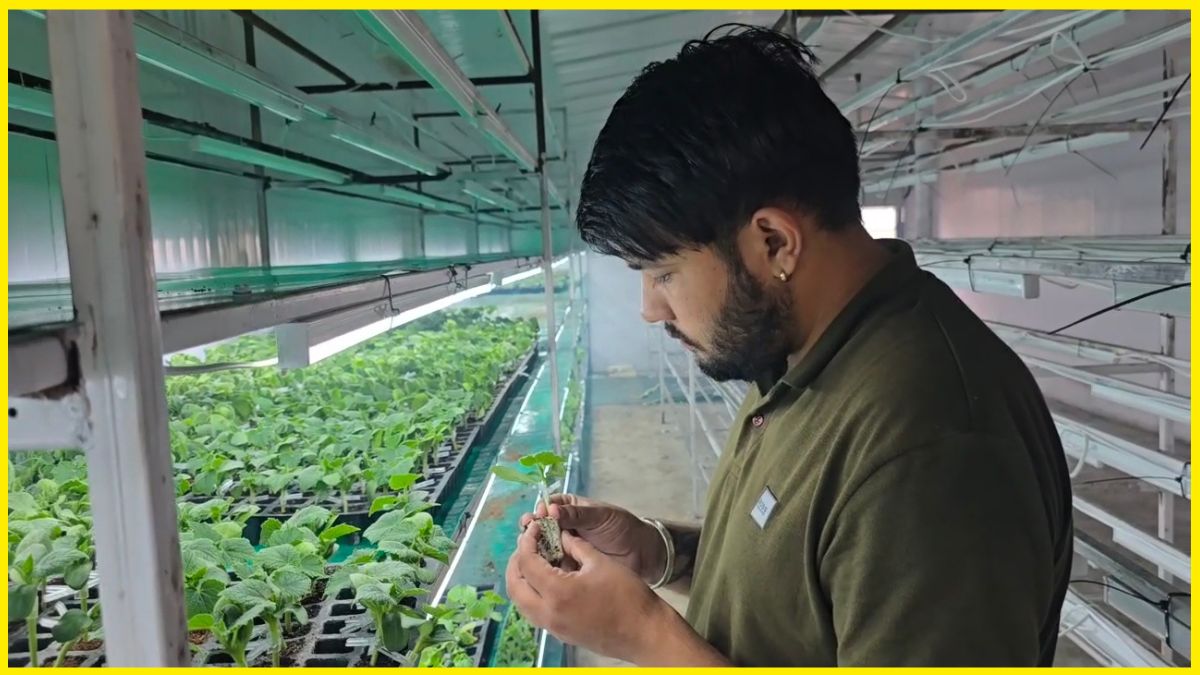Kurukshetra Farmer Turns Farming Into Money Spinning Enterprise
