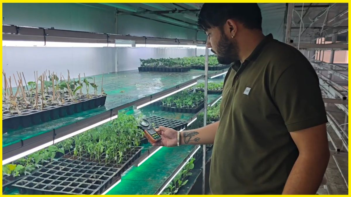 Kurukshetra Farmer Turns Farming Into Money Spinning Enterprise
