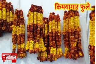 हेलीक्रायझमच्या फुलांचे हार