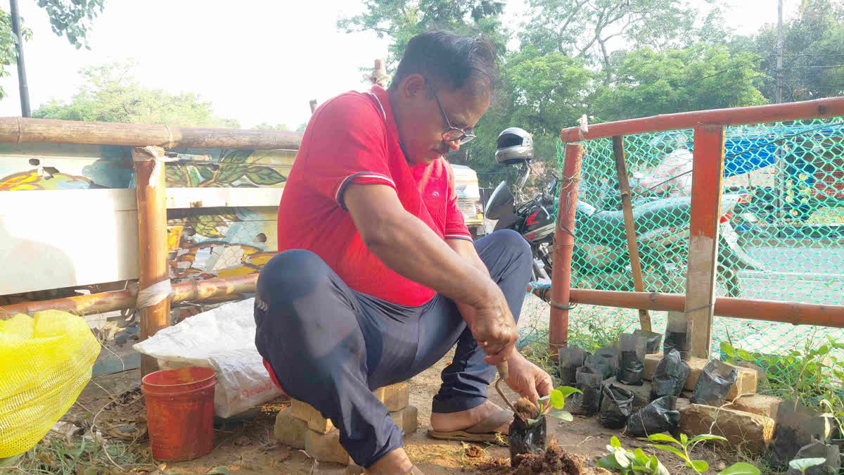 Odisha Man Turns Retirement Into Green Mission Growing & Distributing 40 Plus Medicinal Plants For Free