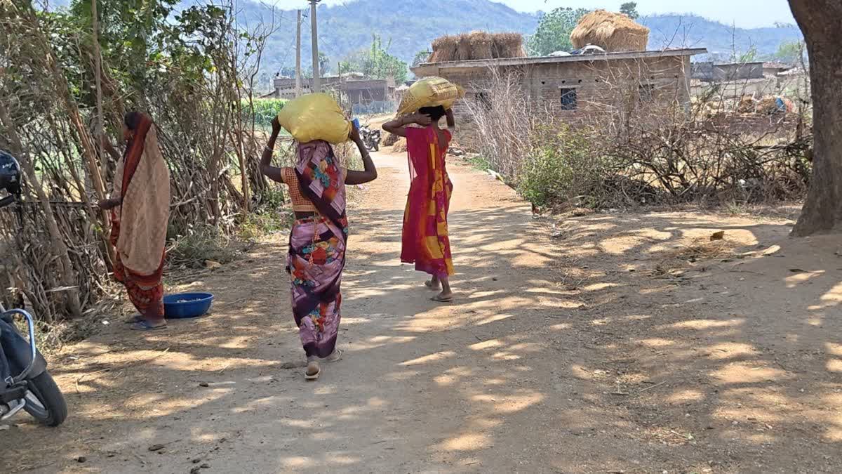 Gohi village, in the Barachatti block of Gaya district