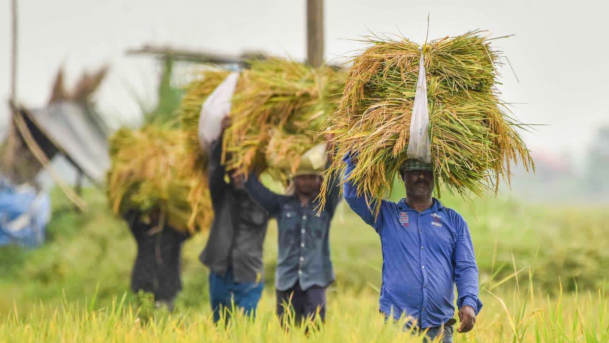 Agriculture Ministry’s Push For Sustainable Farm Practice Using Machines