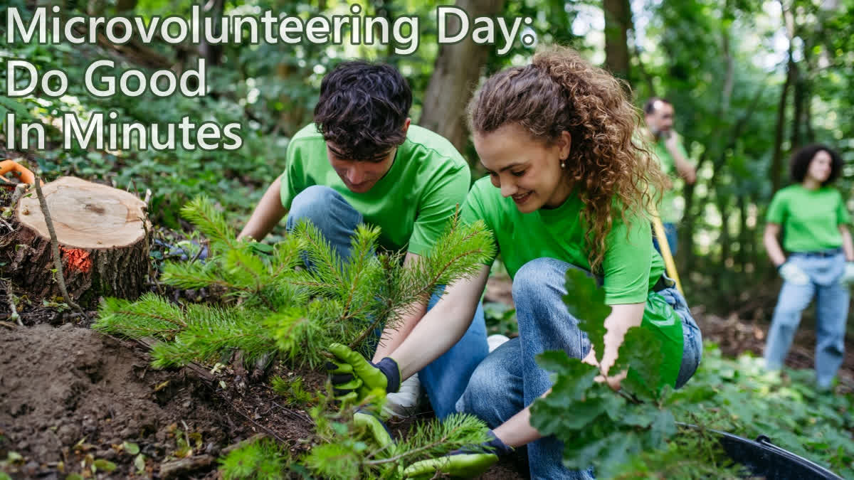 Volunteers in a forest