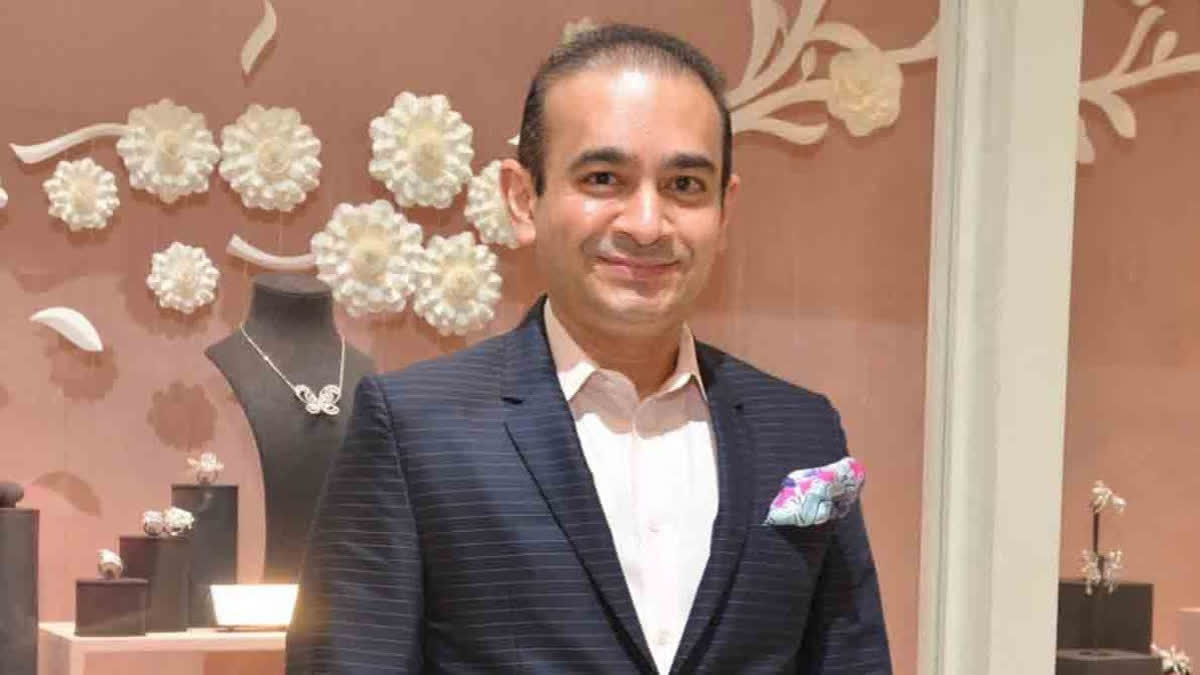 Nirav Modi Case To Be 'Confidential' As European Court Of Human Rights Grants Anonymity Nirav Modi
