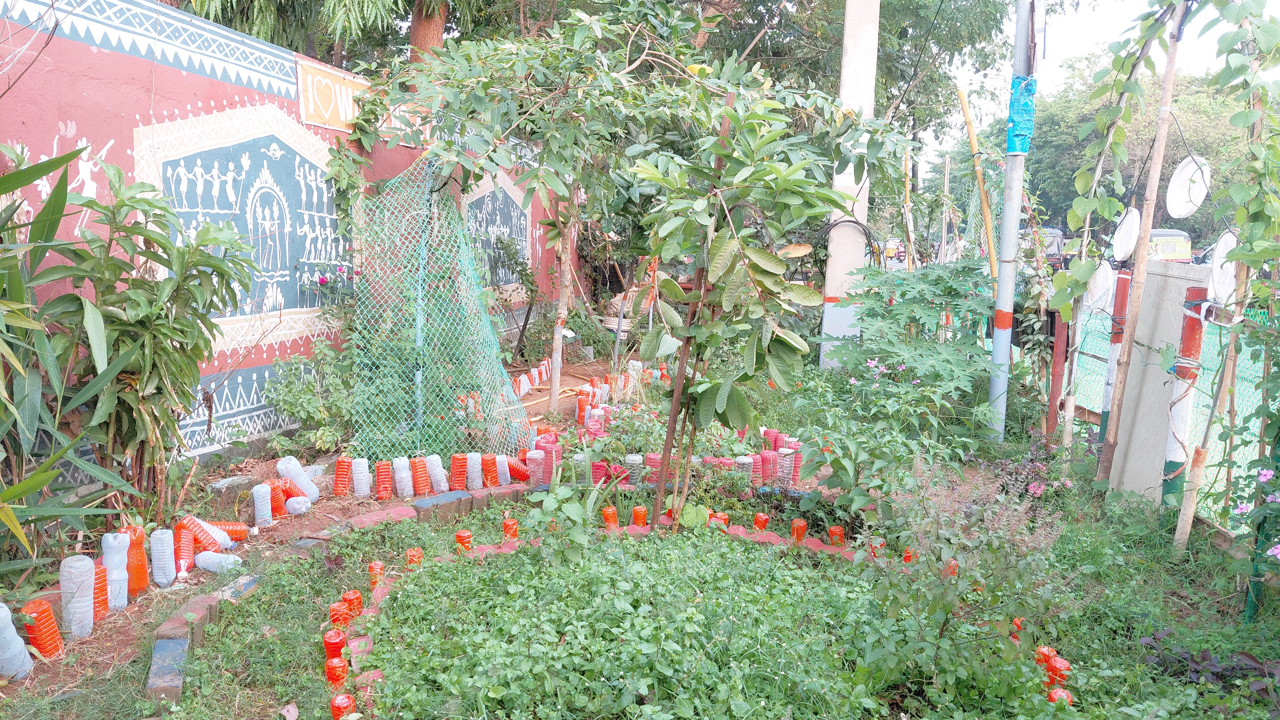 Odisha Man Turns Retirement Into Green Mission Growing & Distributing 40 Plus Medicinal Plants For Free