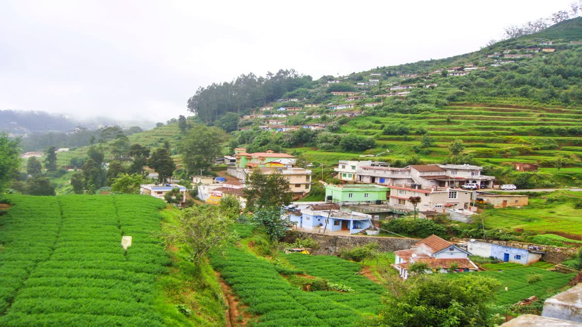 irctc_ooty_tour_package