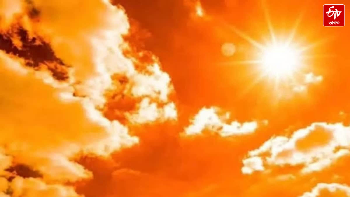 Hottest Day In India This Year