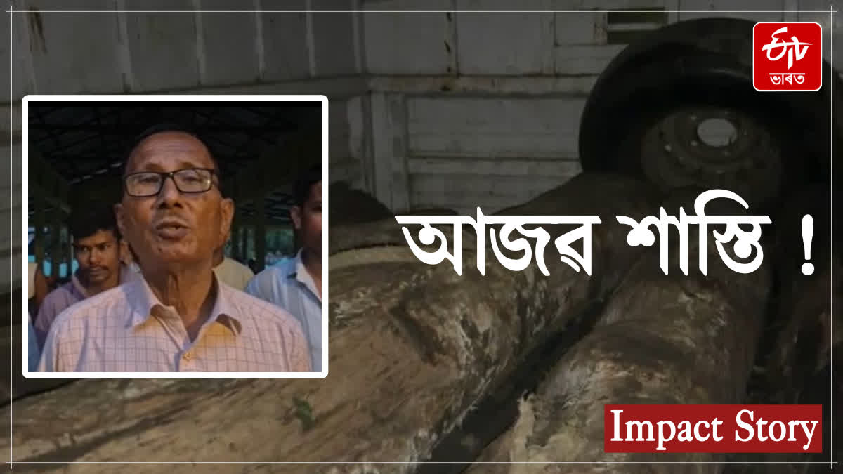 Impact of ETV Bharat Assam news, people punished the youth for forest destruction